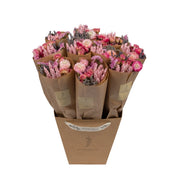 bunches of Dried Flowers Small Pink Bouquet
