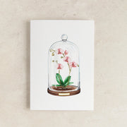 Orchid Floral Display Watercolour Greeting Card - from victoria shop
