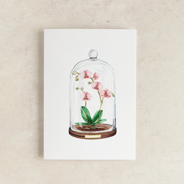 Orchid Floral Display Watercolour Greeting Card - from victoria shop
