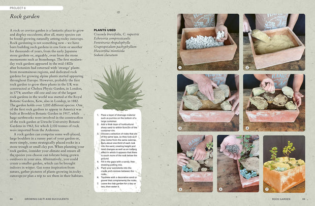page spread growing cacti book- from victoria 
