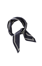 Navy striped scarf  on a white background
