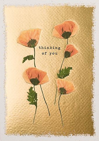 'Thinking of you’ Poppy Pressed Flower Gold Foil Greeting Card