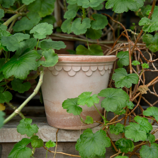 Bergs Potters Copenhagen Plant Pot and Saucer