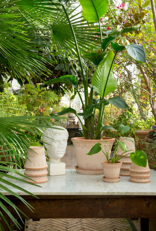 Bergs Potters Copenhagen Plant Pot and Saucer