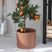 Edgehill Large Plant Pot