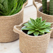 Woven Basket Planters - Set of 3 - From Victoria Shop