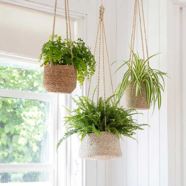 Tapered Jute Hanging Plant Pot - From Victoria Shop