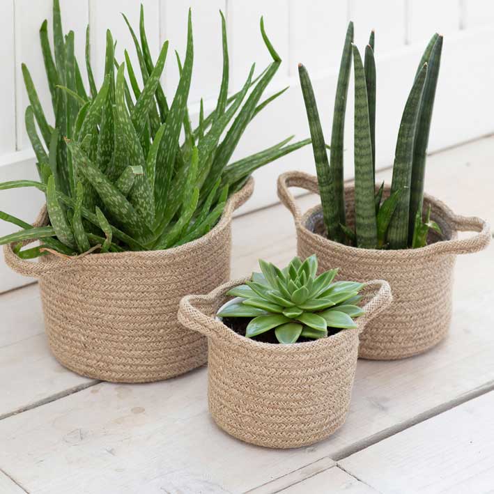 Woven Basket Planters - Set of 3 - From Victoria Shop