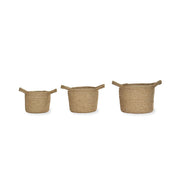 Woven Basket Planters  - From Victoria Shop