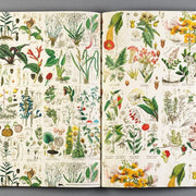 flora gift wrap set book pages