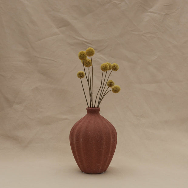 dried billy button flowers in vase - from victoria shop