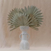 Natural Dried Fan Palm Leaves