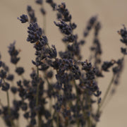 Dried Lavender Flowers