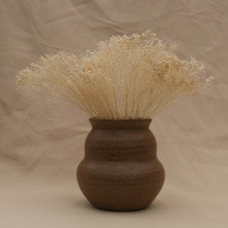 Dried Bleached Broom Bloom in vase - From Victoria Shop