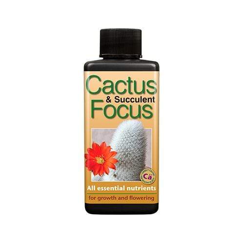 Organic Cactus & Succulent Focus Plant Feed