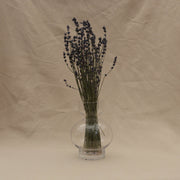 Dried Lavender Flowers in vase - From Victoria Shop