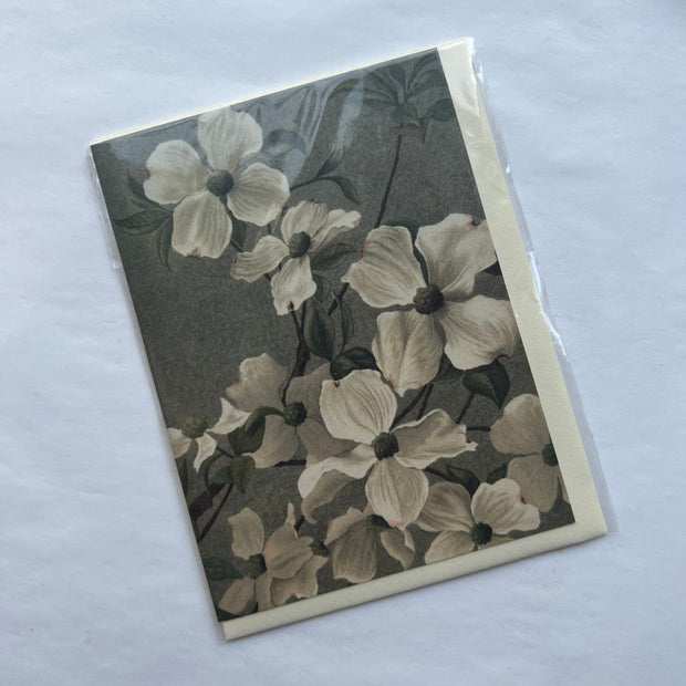 White Floral Vintage Illustrated Greeting card