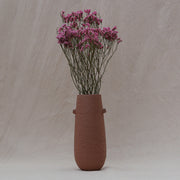 Limonium, Dried Natural Coral Pink Flowers