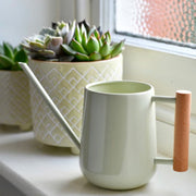 Styled shot of soft jade watering can with a plant from Victoria Shop