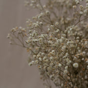Preserved Natural White Gypsophila - From Victoria Shop