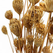 Dried Natural Fennel