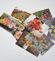 Floret Farm’s Cut Flower Garden 100 Postcard Set