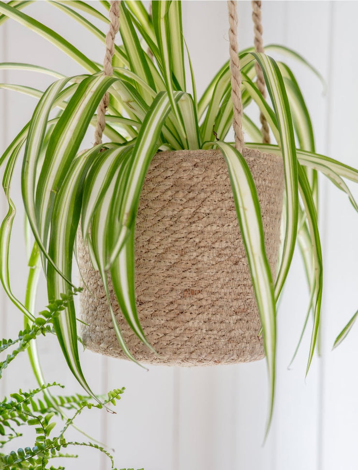 Jute hanging basket planter - From Victoria Shop