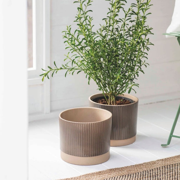 milton ceramic plant pot