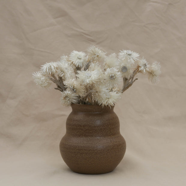Dried White Helichrysum Vestitum - From Victoria Shop