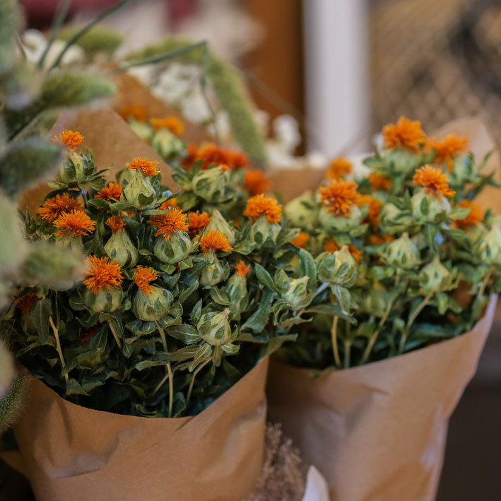 Carthamus Orange Dried Flowers - From Victoria Shop